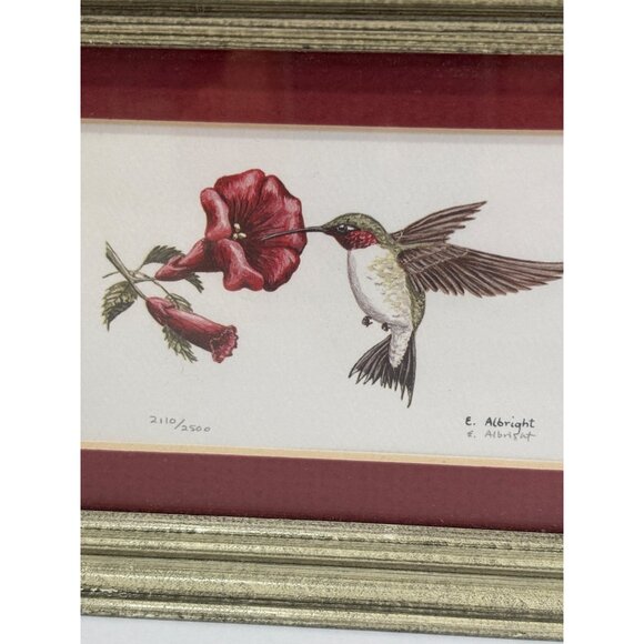 Limited Edition Hummingbird & Flower Print By E. Albright Framed Artwork 2110/25 - Picture 5 of 7